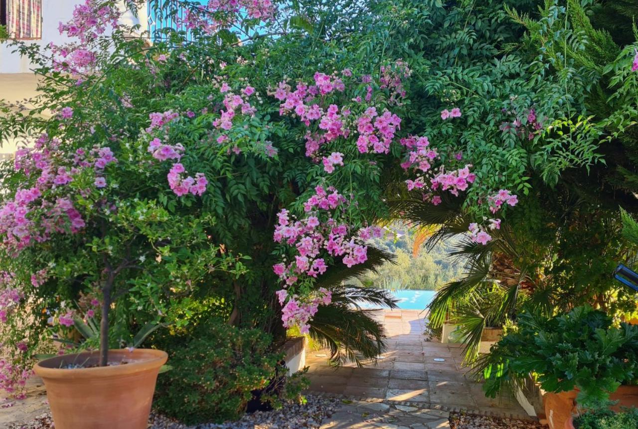 Cortijo La Haza Iznájar Exterior foto