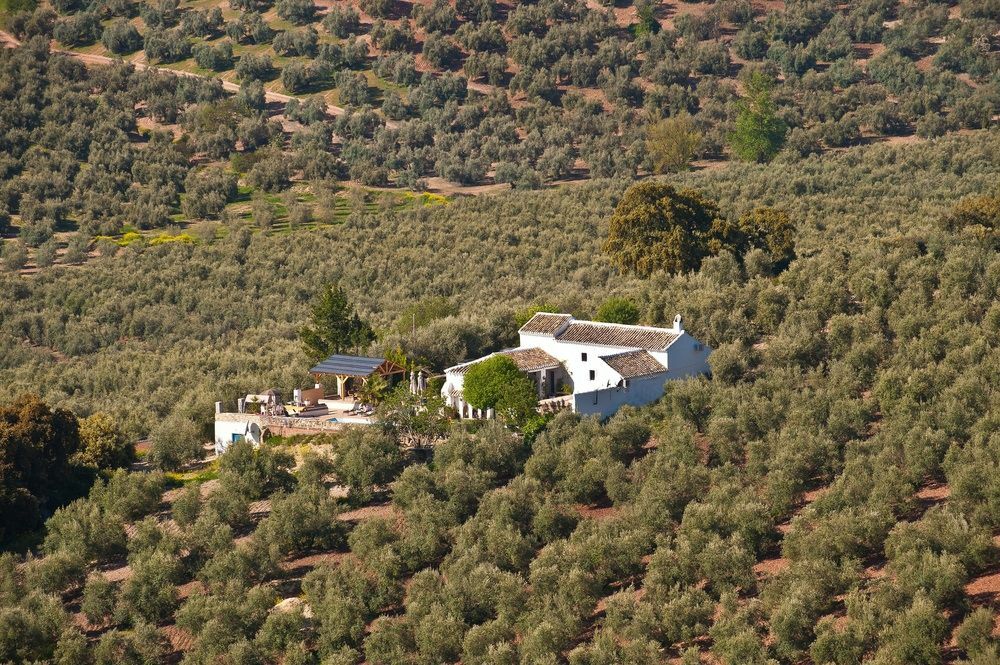 Cortijo La Haza Iznájar Exterior foto